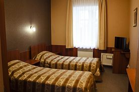 Двухместный номер Стандарт 1-й этаж с красивым видом из окна 2 отдельные кровати, Отель Фаворит, Псков