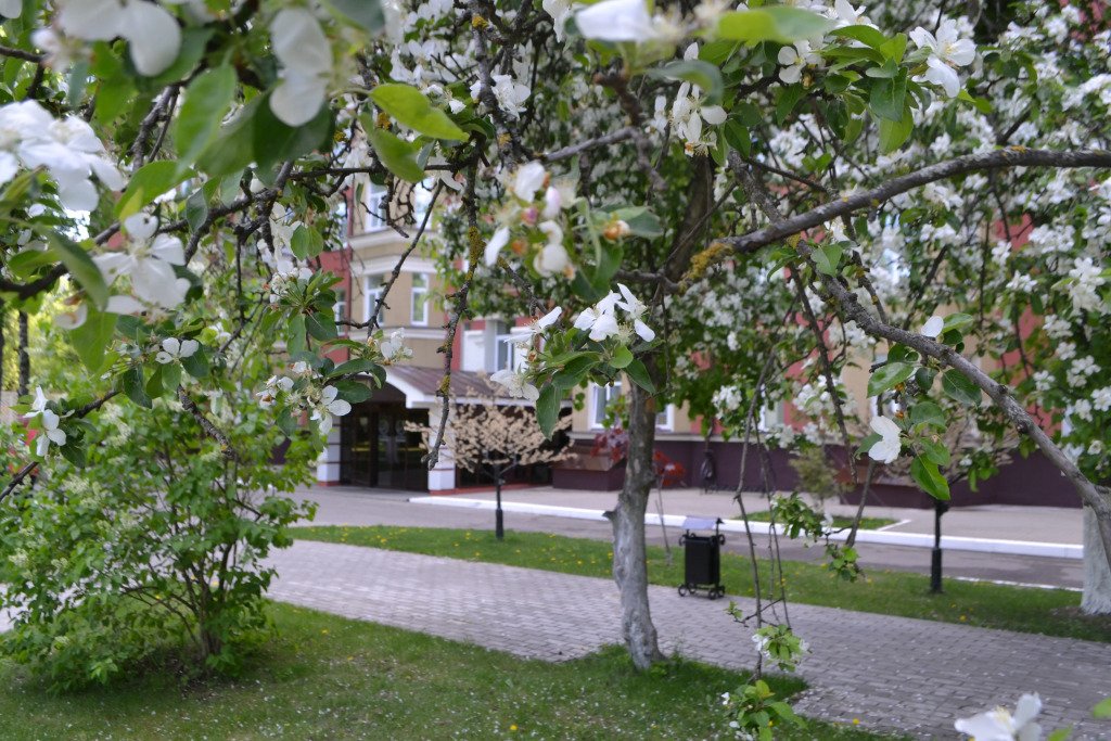 Отель Дружба, Московская область: фото 2