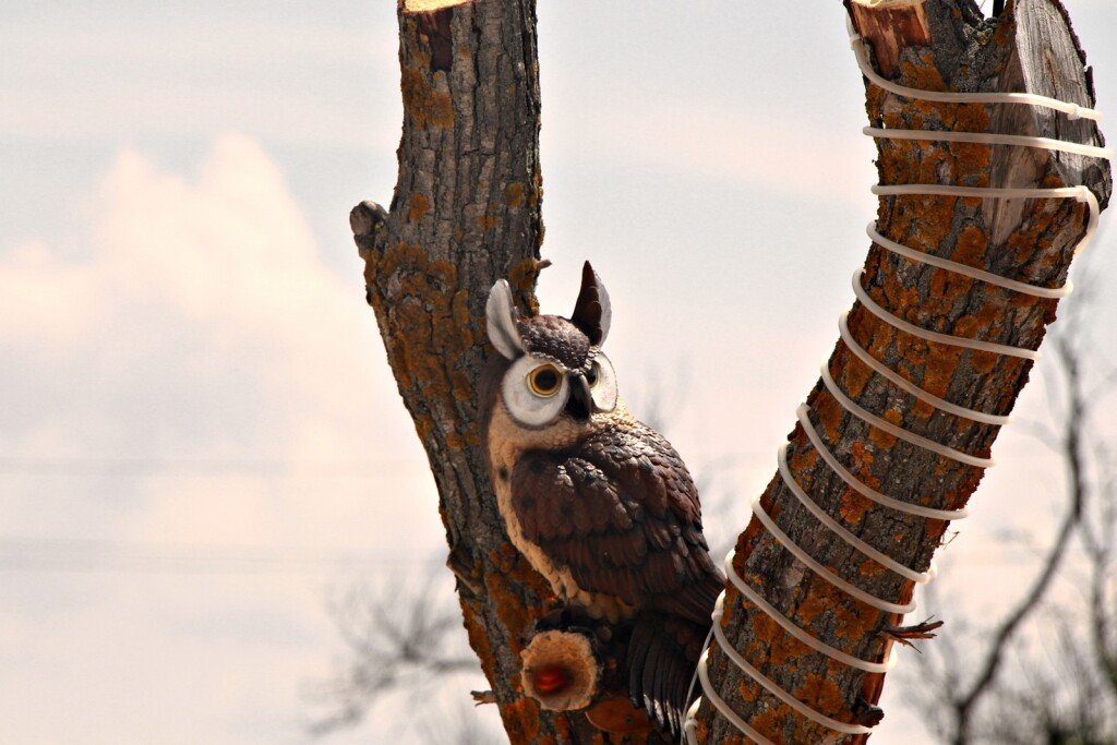 База отдыха Роза ветров, Краснодарский край: фото 4