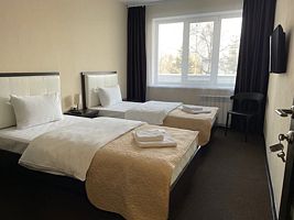 Номер Economy, Авиа Отель, Артем
