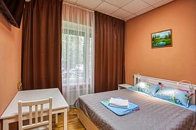 Двухместный номер Deluxe двуспальная кровать, Отель Мини-отель Ладомир-отель, Москва