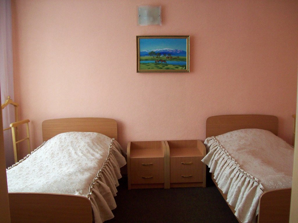 Отель Гвоздика, Алтайский край: фото 5