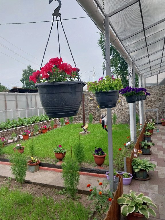 Отель Байкальская Жемчужинка, Республика Бурятия: фото 5