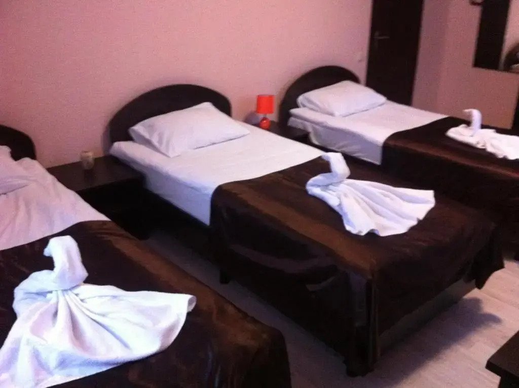 Отель Базилик Усмань, Липецкая область: фото 2