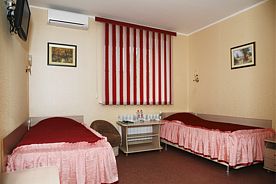 Двухместный номер Standard с видом на город 2 отдельные кровати, Отель Дилижанс, Касимов