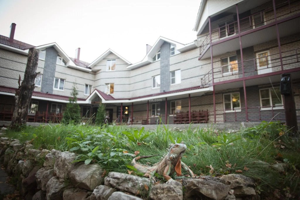 Отель Деловой Клуб, Выкса, Нижегородская область