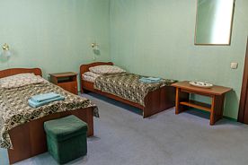 Двухместный номер Standard 2 отдельные кровати, Отель Водолей, деревня Иваново