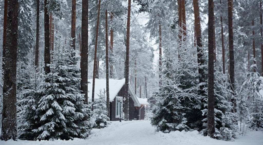 Отель Царство-Королевство, Ленинградская область: фото 4