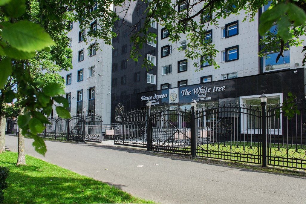 Отель Белое Дерево, Ленинградская область: фото 2