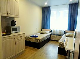 Двухместная студия 2 отдельные кровати, Мини-отель Алёнка, Пушкин