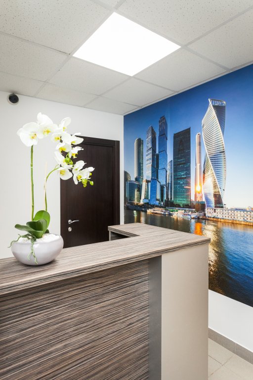 Отель Силуэт, Московская область: фото 4