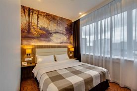 Двухместный номер Standard двуспальная кровать, Отель Sunflower Внуково ZONT Hotel Group, деревня Румянцево