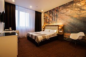 Двухместный номер Superior двуспальная кровать, Отель Sunflower Внуково ZONT Hotel Group, деревня Румянцево