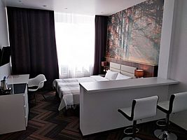 Двухместная студия двуспальная кровать, Отель Sunflower Внуково ZONT Hotel Group, деревня Румянцево