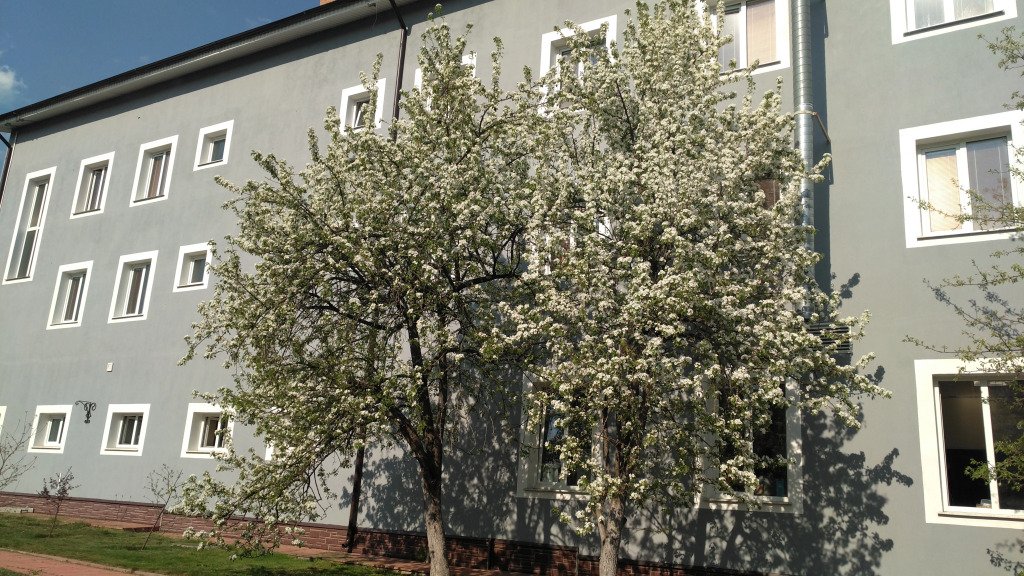 Отель Загородный на Заречной, Московская область: фото 2