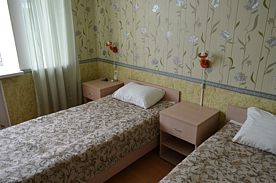 Двухместный номер Standard 2 отдельные кровати, Отель РГК Ковчег, Борисоглебский район