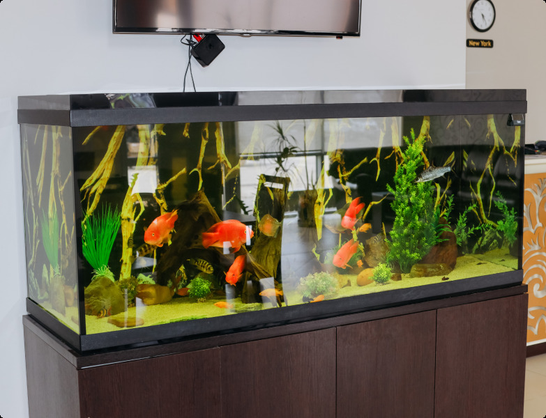 Отель Счастье, Тульская область: фото 5