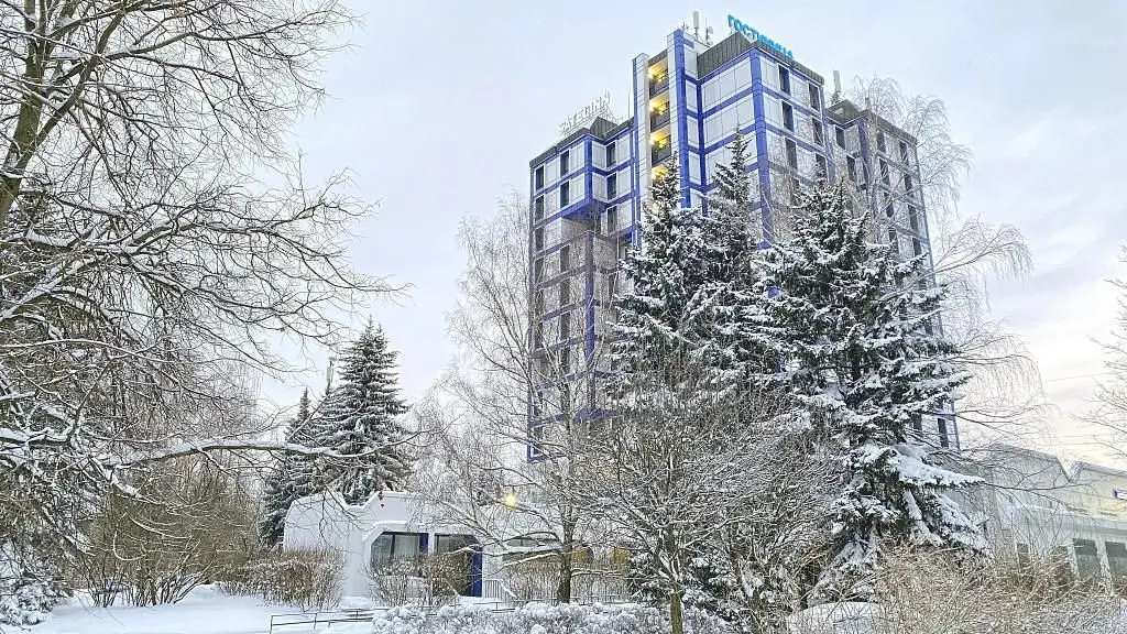 Отель Satelinn Moscow Khovrino, Московская область: фото 4