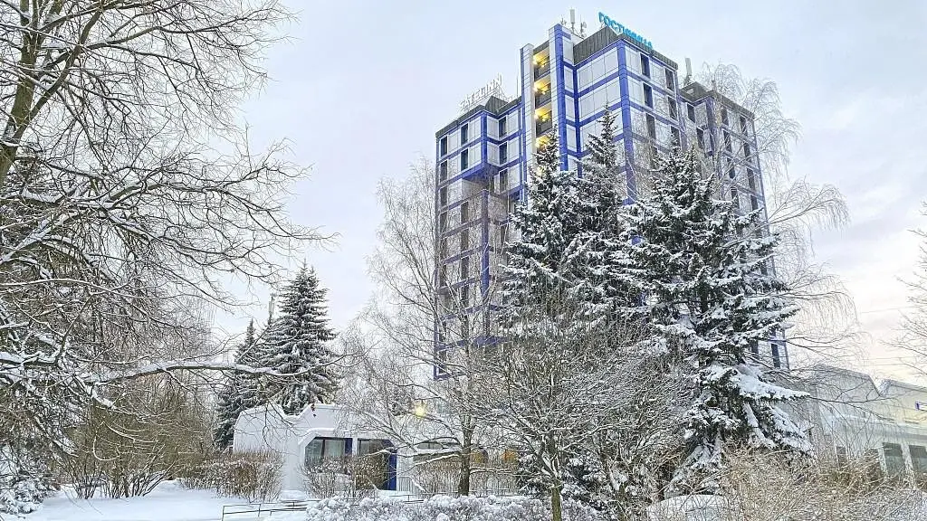 Отель Satelinn Moscow Khovrino, Московская область: фото 4