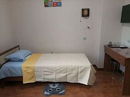 Одноместный номер Стандартный, Отель Ариран, Дальнегорск