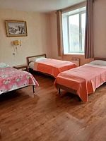 Трёхместный номер Стандартный, Отель Ариран, Дальнегорск