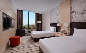 Двухместный номер Business с красивым видом из окна 2 отдельные кровати, Отель DoubleTree by Hilton Moscow — Vnukovo Airport, Москва