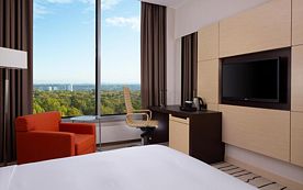 Двухместный номер Deluxe с красивым видом из окна двуспальная кровать, Отель DoubleTree by Hilton Moscow — Vnukovo Airport, Москва
