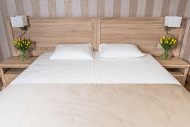 Двухместный номер Standard с видом на город двуспальная кровать, Отель Теплица Парк, поселок Барвиха