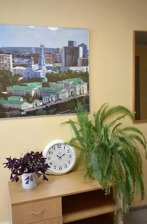 Отель НПО Автоматики, Свердловская область: фото 3