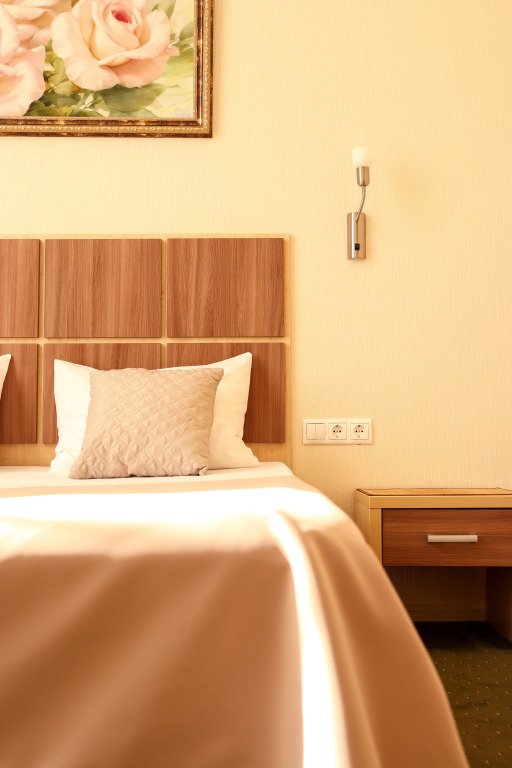 Отель Городская Медовая, Московская область: фото 4