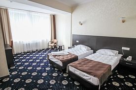 Двухместный номер Standard с видом на город 2 отдельные кровати, Отель Александраполь, Кстово