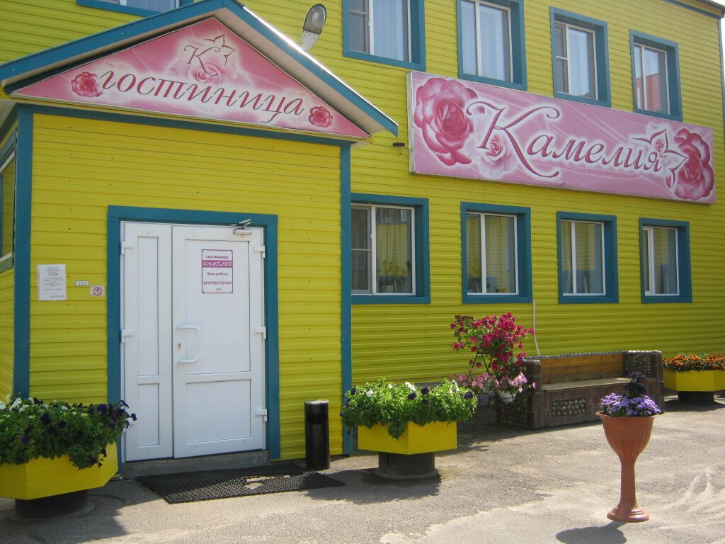 Отель Камелия, Верхний Рыстюг, Вологодская область
