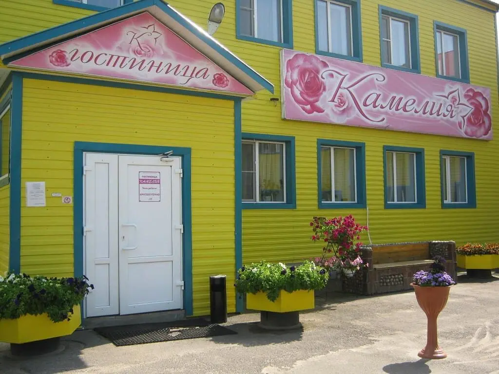 Отель Камелия, Верхний Рыстюг, Вологодская область