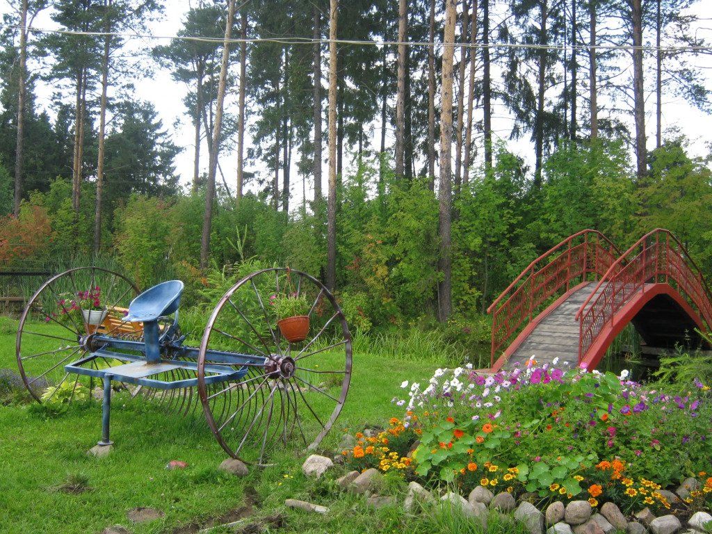 Отель Камелия, Вологодская область: фото 3