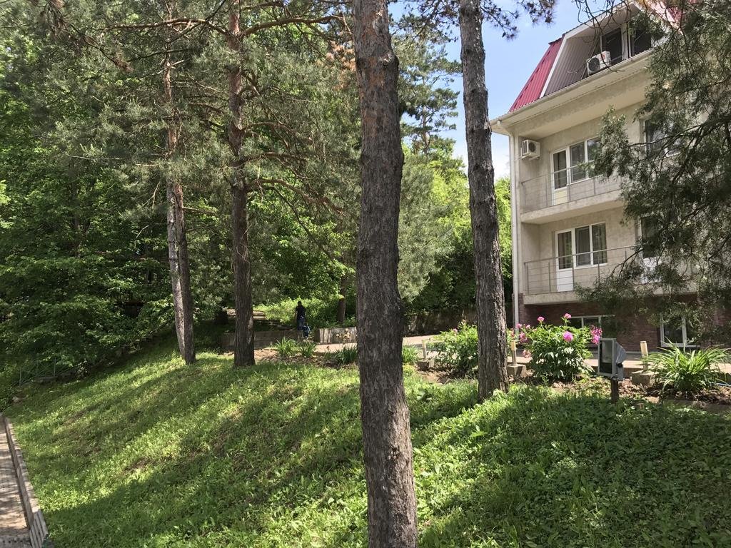 Гостиница Березка, Краснодарский край: фото 3