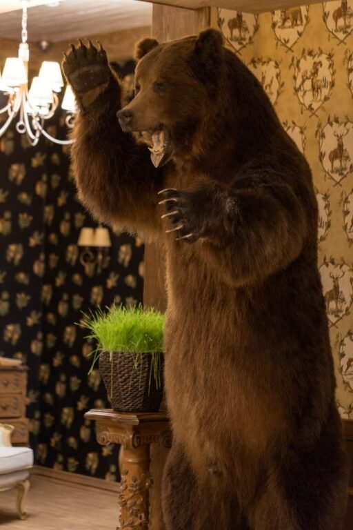 Отель Охотничьи cезоны, Пермский край: фото 3