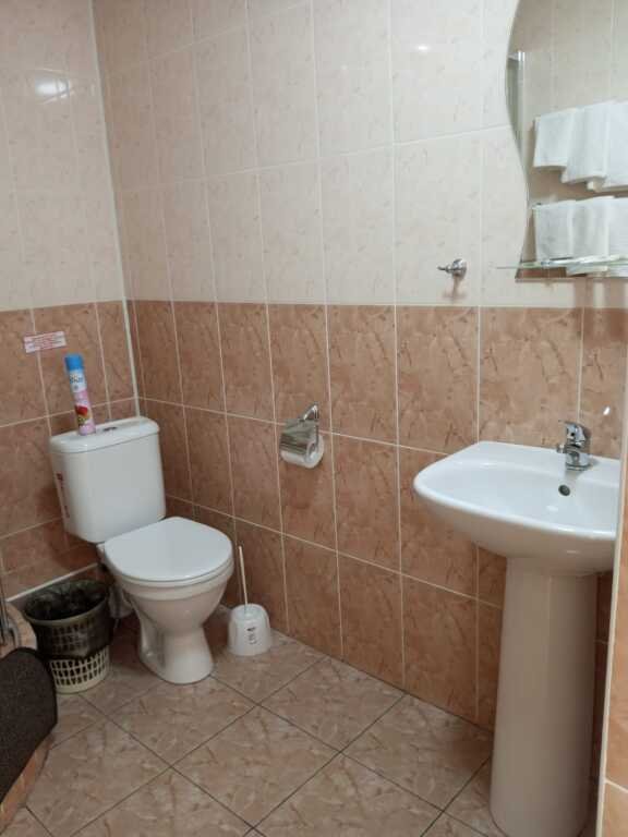 Отель ALTAY Gold, Алтайский край: фото 4