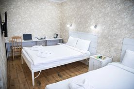 Двухместный полулюкс двуспальная кровать, Отель Авангард, Пенза