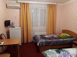 Двухместный номер Standard 2 отдельные кровати, Отель Дружба, Вяземский