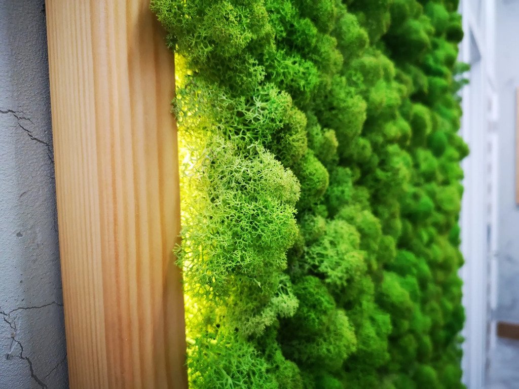 Отель Никольская Гавань, Архангельская область: фото 4