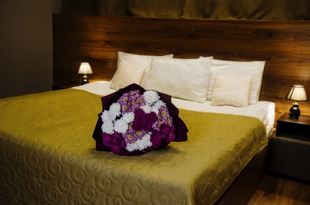 Отель Loft Ptz, Республика Карелия: фото 3