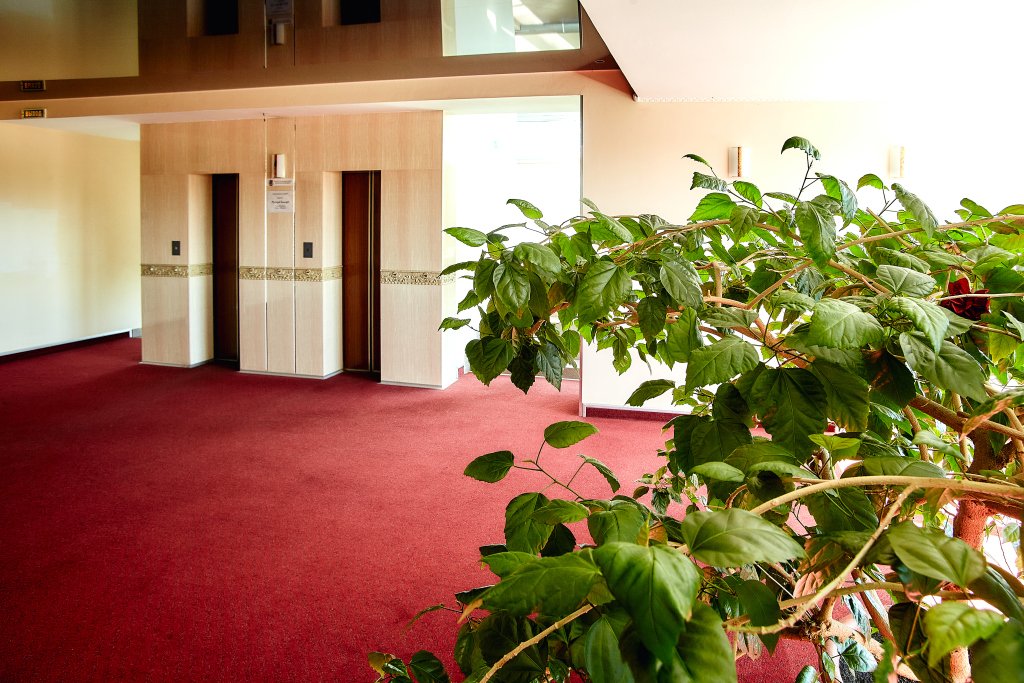 Отель Волна, Пермский край: фото 5