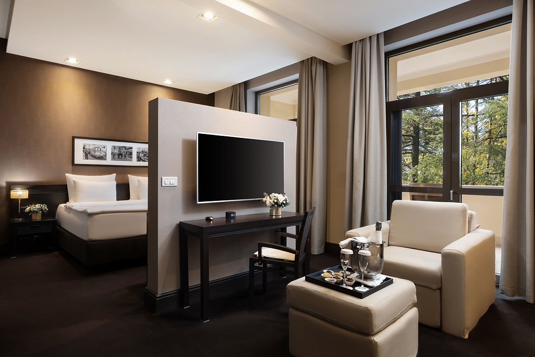 Deluxe 2-местный 1-комнатный (с видом на парк)