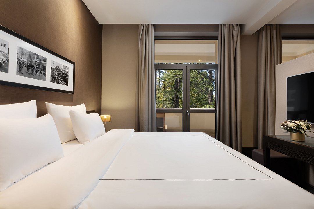 Deluxe 2-местный 1-комнатный (с видом на парк)