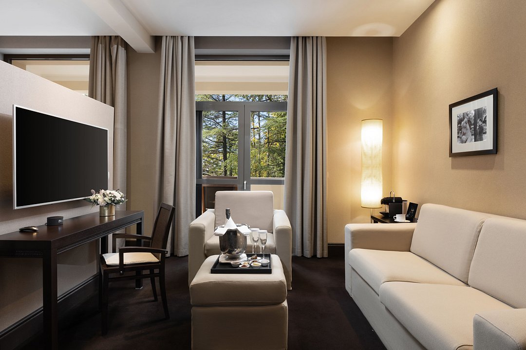 Deluxe 2-местный 1-комнатный (с видом на парк)