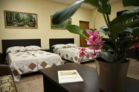 Двухместный номер Superior с балконом 2 отдельные кровати, Отель Green House, Железноводск