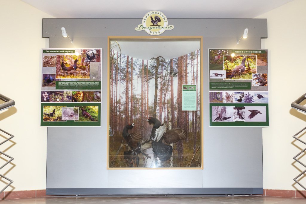 Гостиница Национальный парк Валдайский, Новгородская область: фото 4