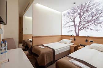 Отель Аэротель Экспресс ZONT Hotel Group