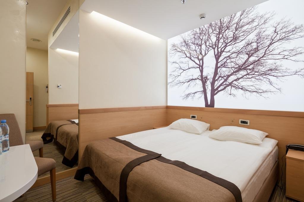 Отель Аэротель Экспресс ZONT Hotel Group, Московская область: фото 2