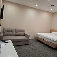 Номер Семейный (без окна), Отель Аэротель Экспресс ZONT Hotel Group, Москва